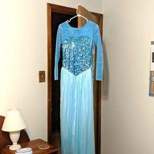 Adult princess costume